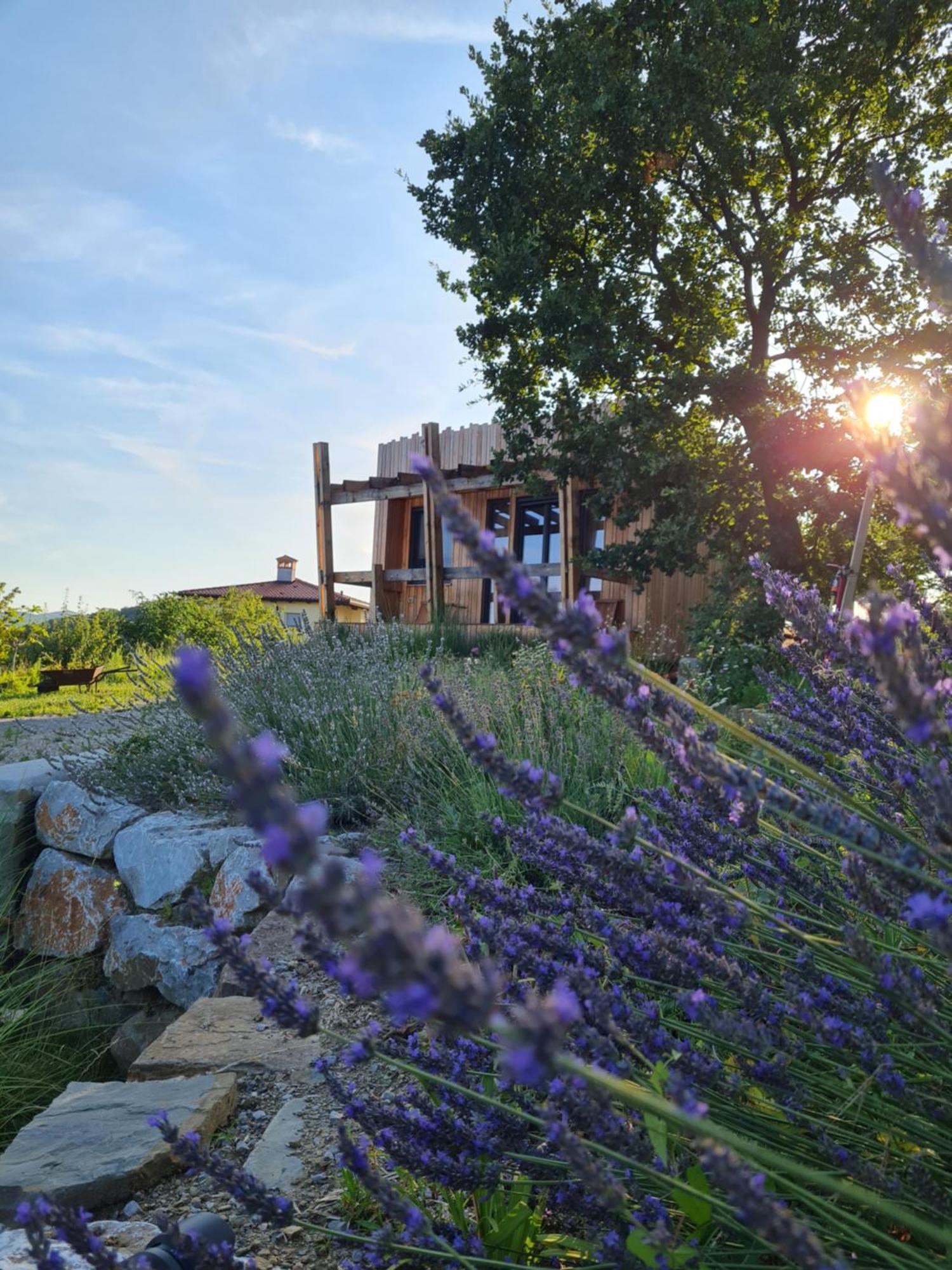 Panorama Glamping Vipavska Dolina Dobravlje Exterior foto