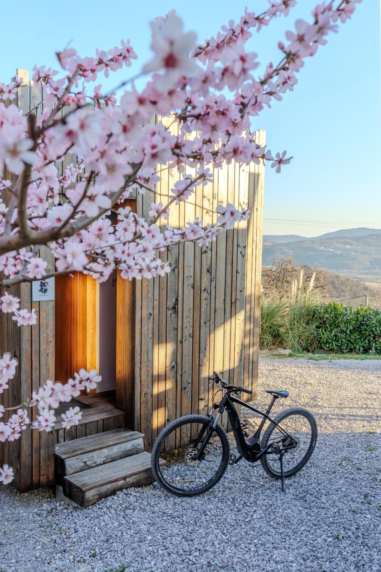 Panorama Glamping Vipavska Dolina Dobravlje Exterior foto
